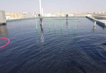 Bituminous Membrane Waterproofing Jeddah Port – Ebreez Co
